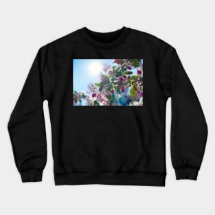 Cute apple blossom in the morning light Crewneck Sweatshirt